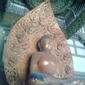 Meet your Posher, Farrah